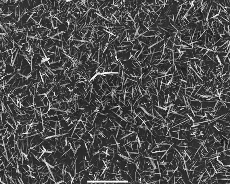 2e62c4ab0342dfd